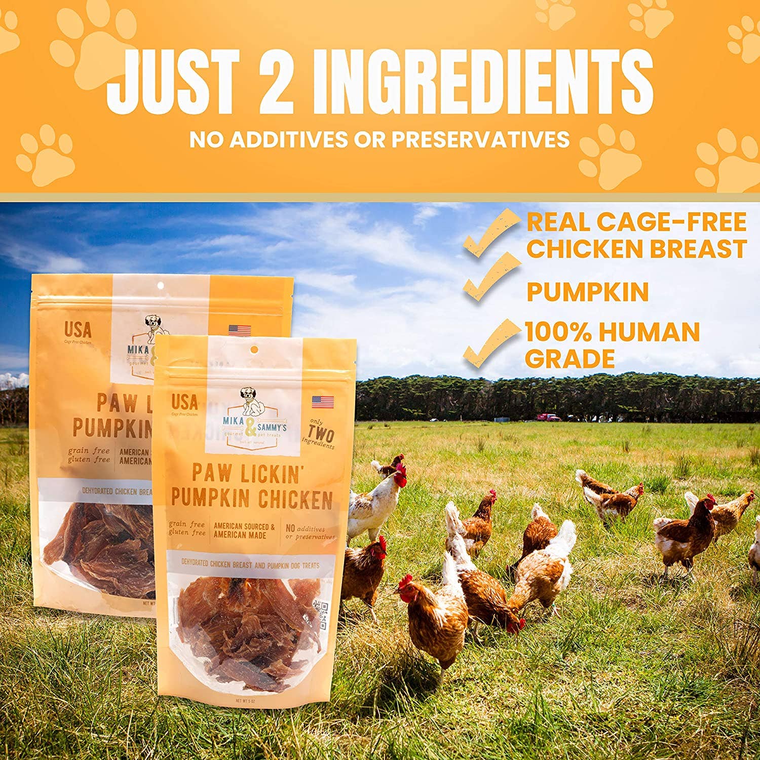 Mika and Sammy's Gourmet Pet Treats - Paw Lickin' Pumpkin Chicken