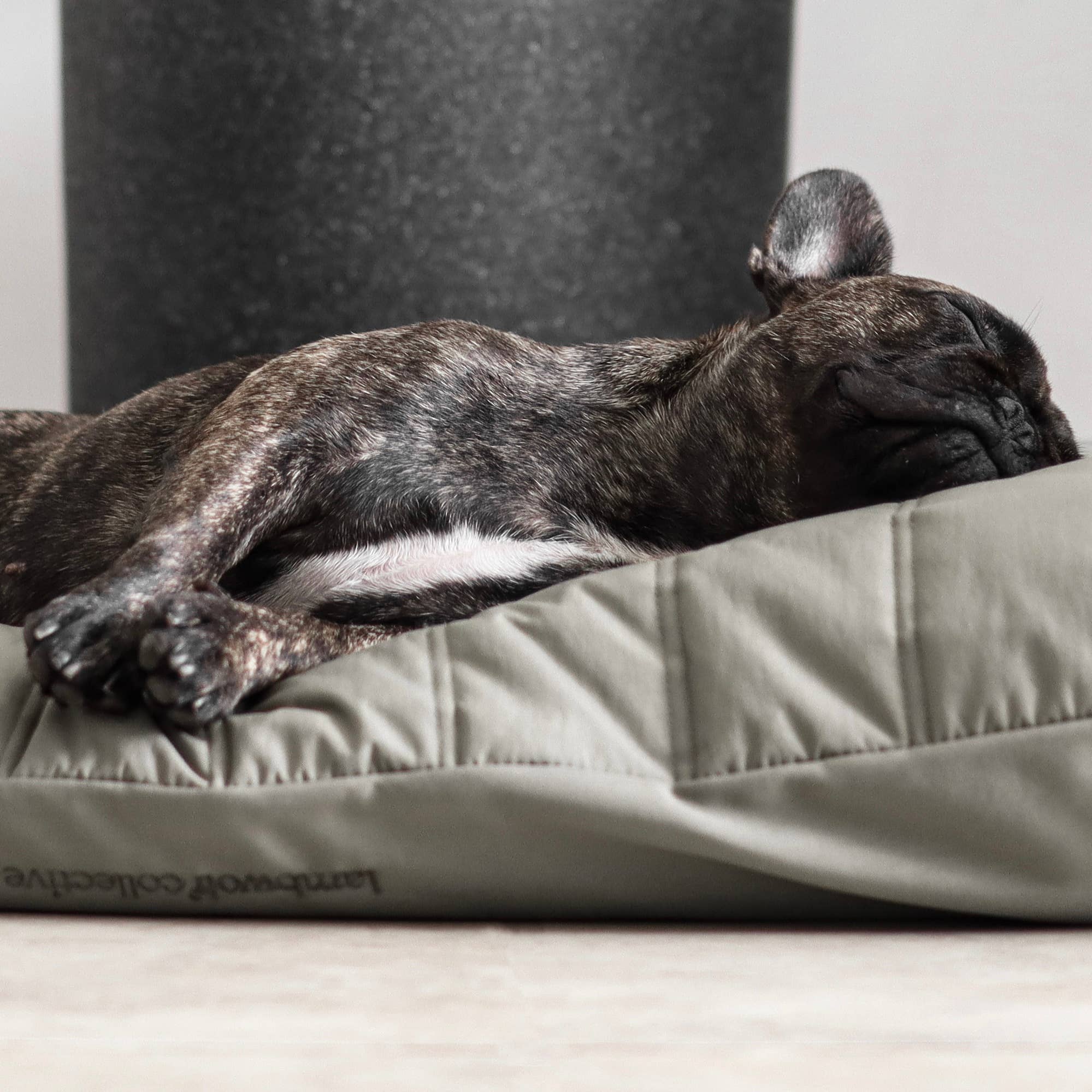 MAATIN | PET BED//DOG BED: Small / Fern