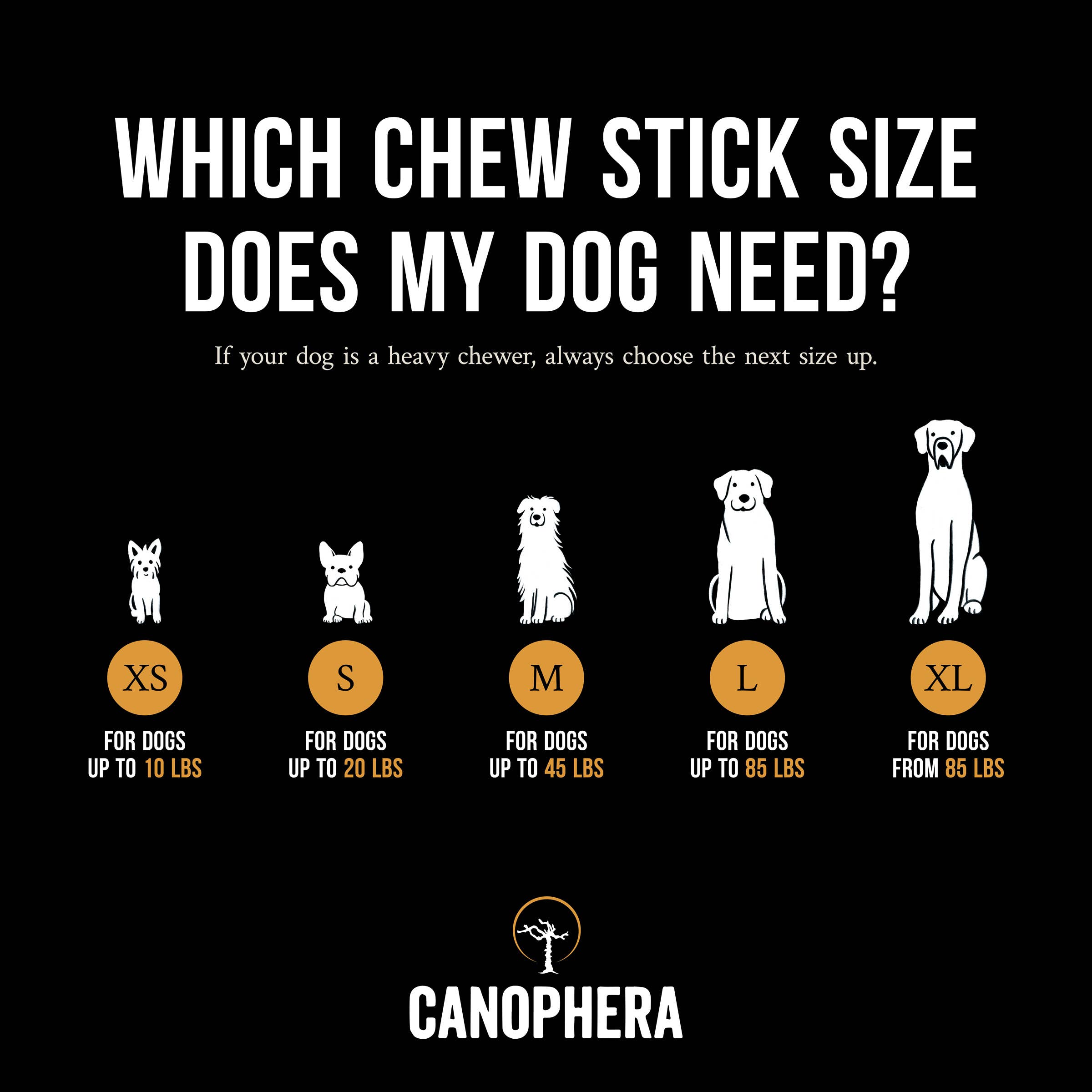 CANOPHERA LLC - Dog Chew Stick Made of Coffee Wood