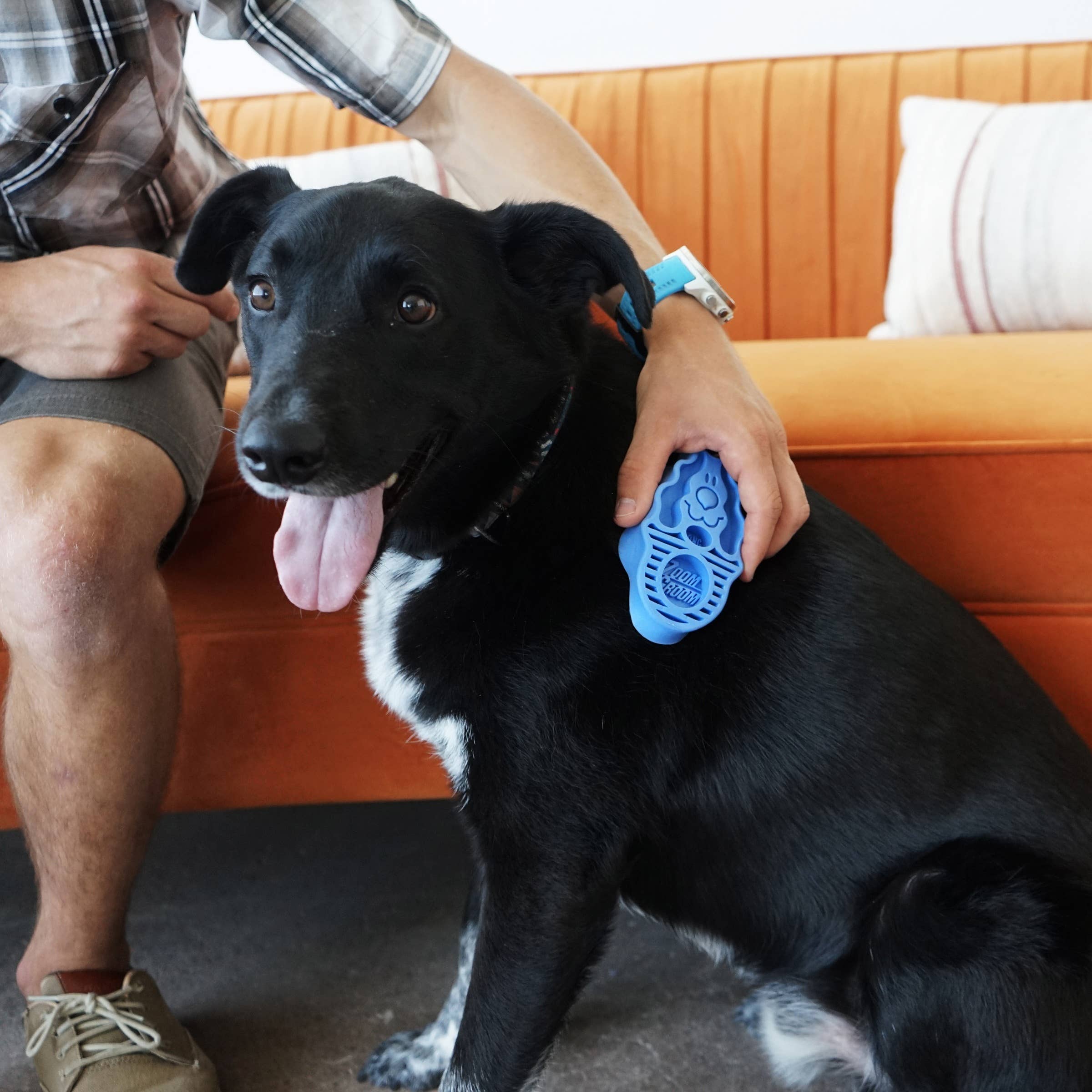 Pet Palette Distribution - KONG® ZoomGroom® Boysenberry Brush Large