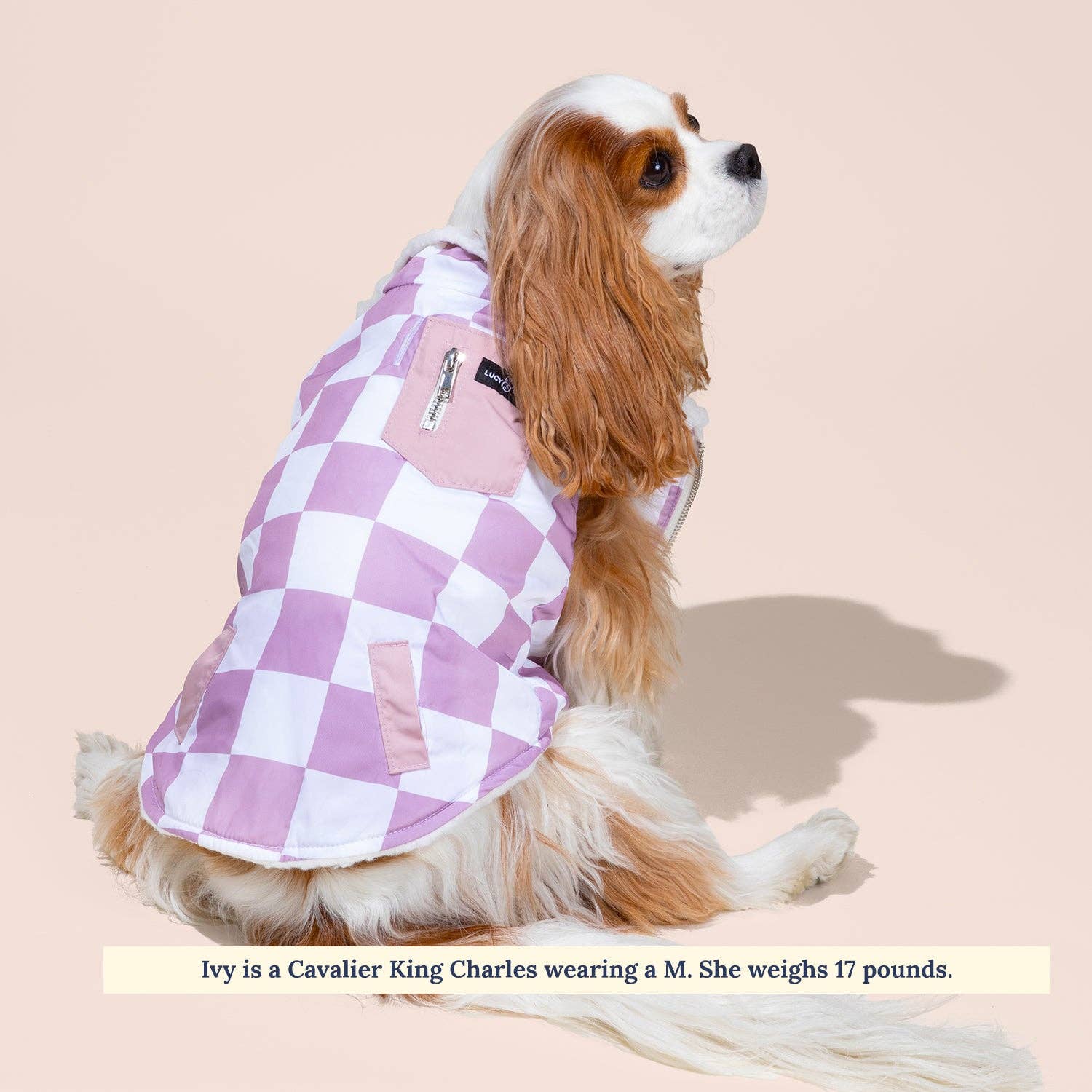 The Checked Out Reversible Teddy Vest: Large