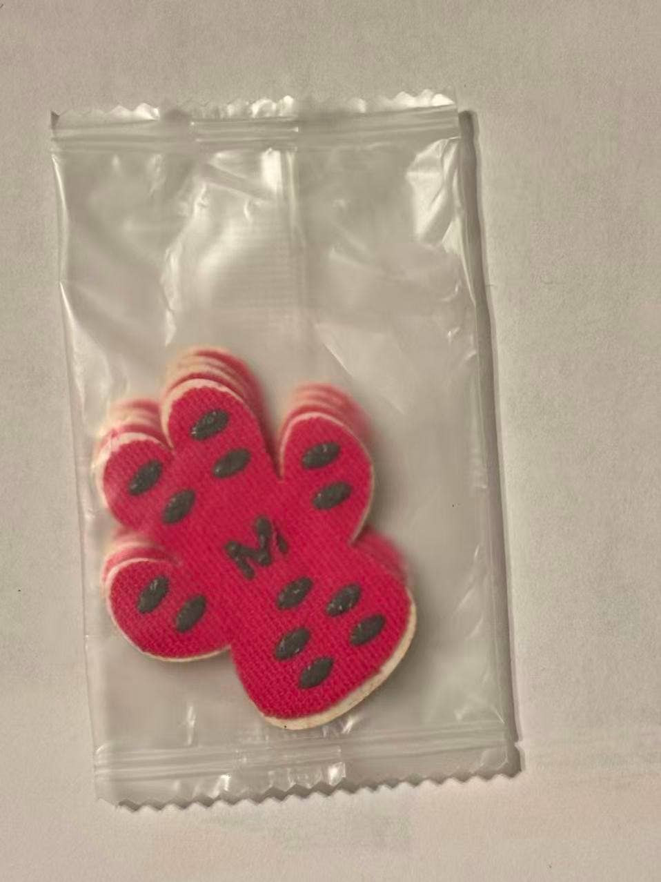 BRIGHT IRIS - Silicone Dog Paw Protector