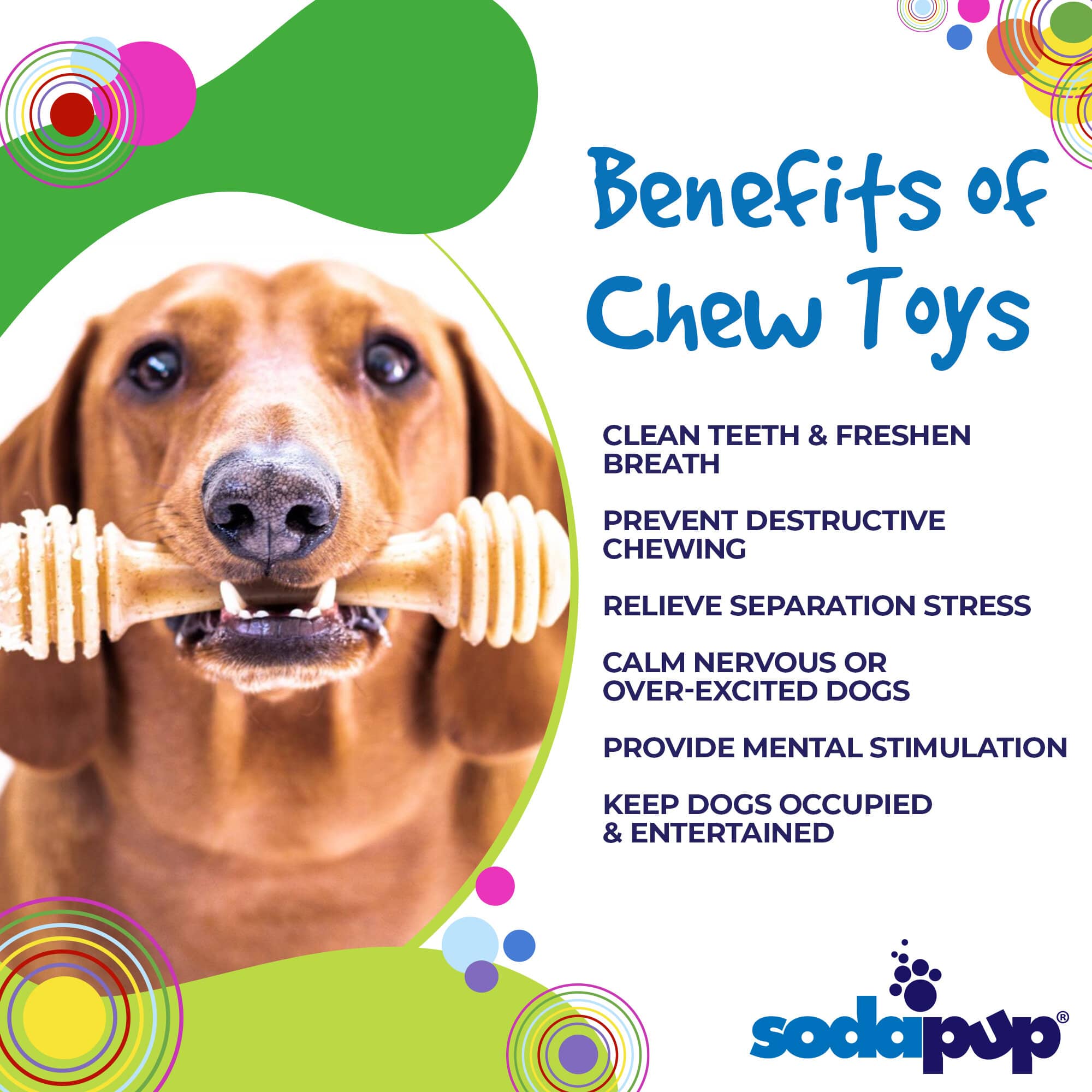 SodaPup - Honey Bone Nylon Chew Bone for Dogs