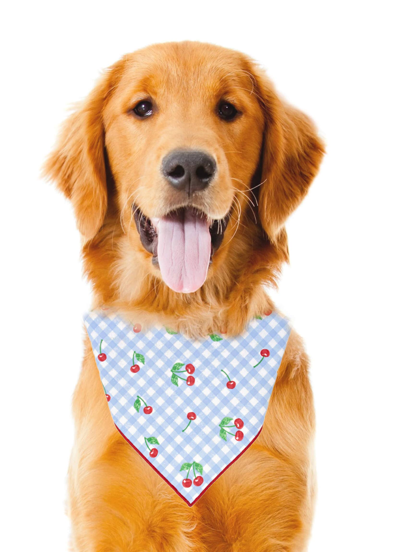 Paisley Paw Designs - Cherries Dog Bandana, Cherry, Blue Gingham