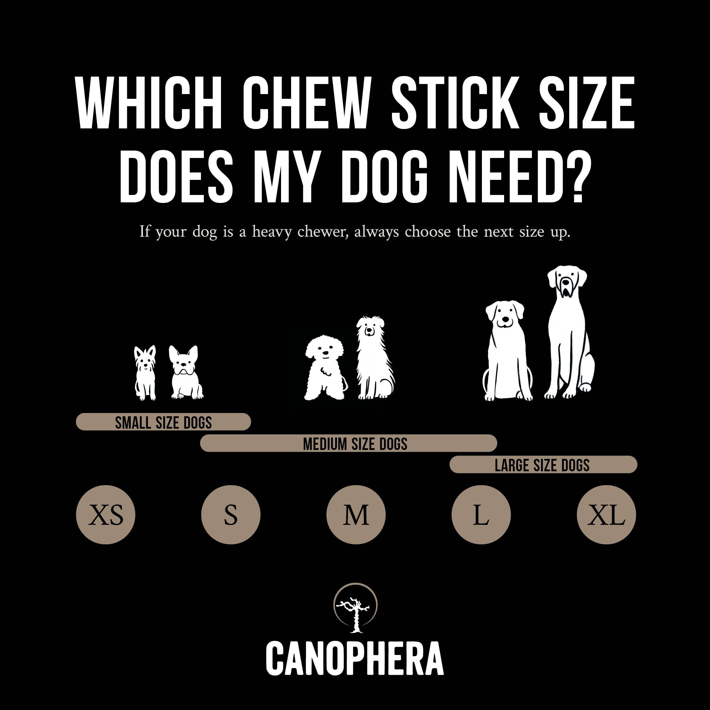 CANOPHERA LLC - Dog Chew Made of Sheep Horn