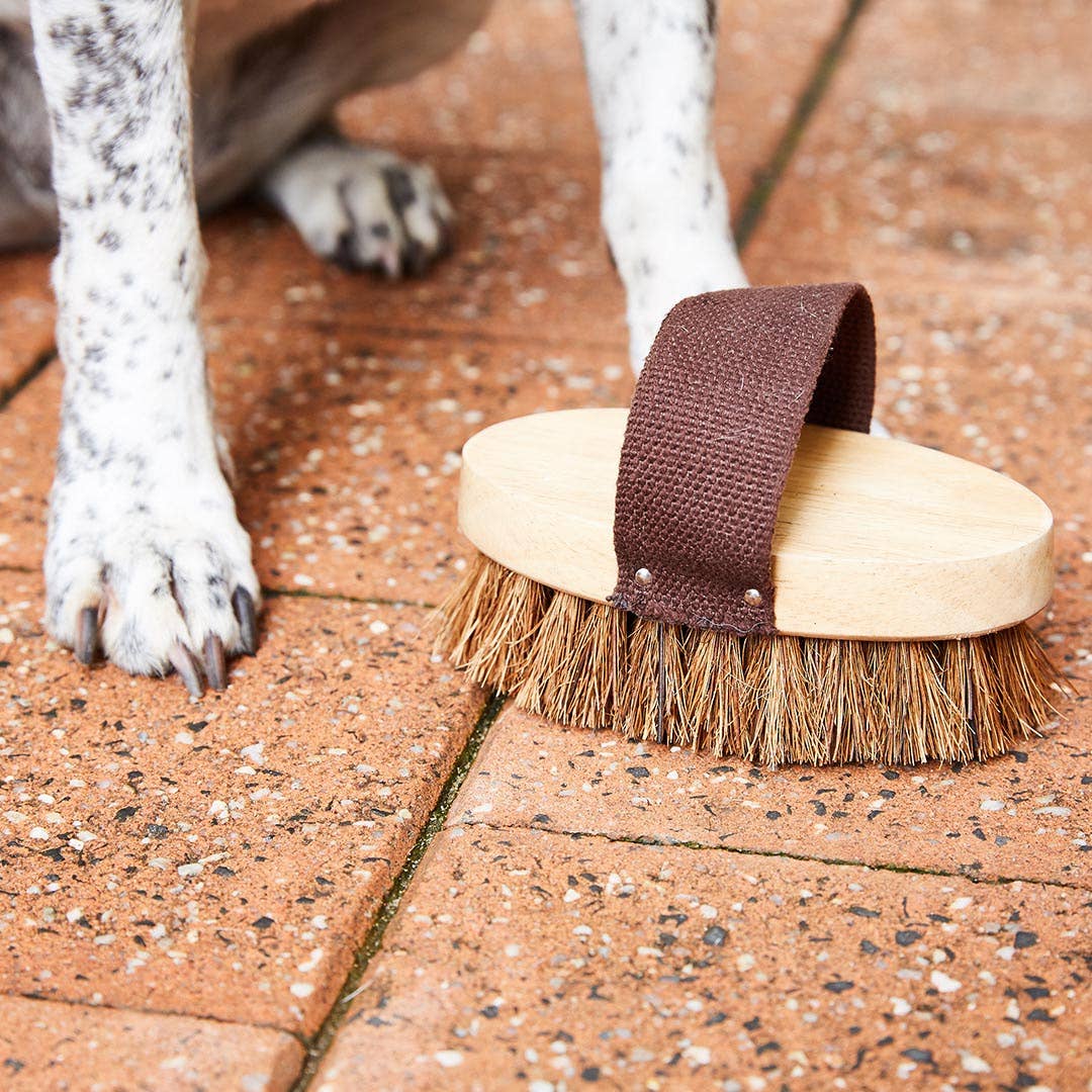 Ethical Global - Dog/Pet Grooming Brush - All Natural, Handmade