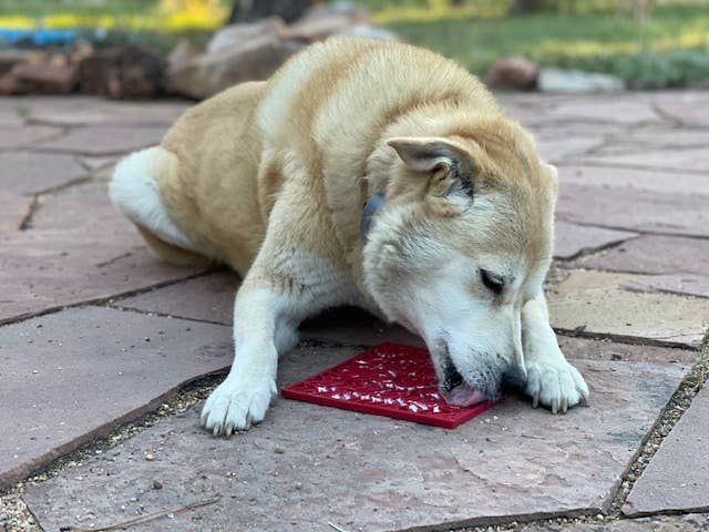 SodaPup - Heart Design "Love" Emat Enrichment Lick Mat - Red - Small