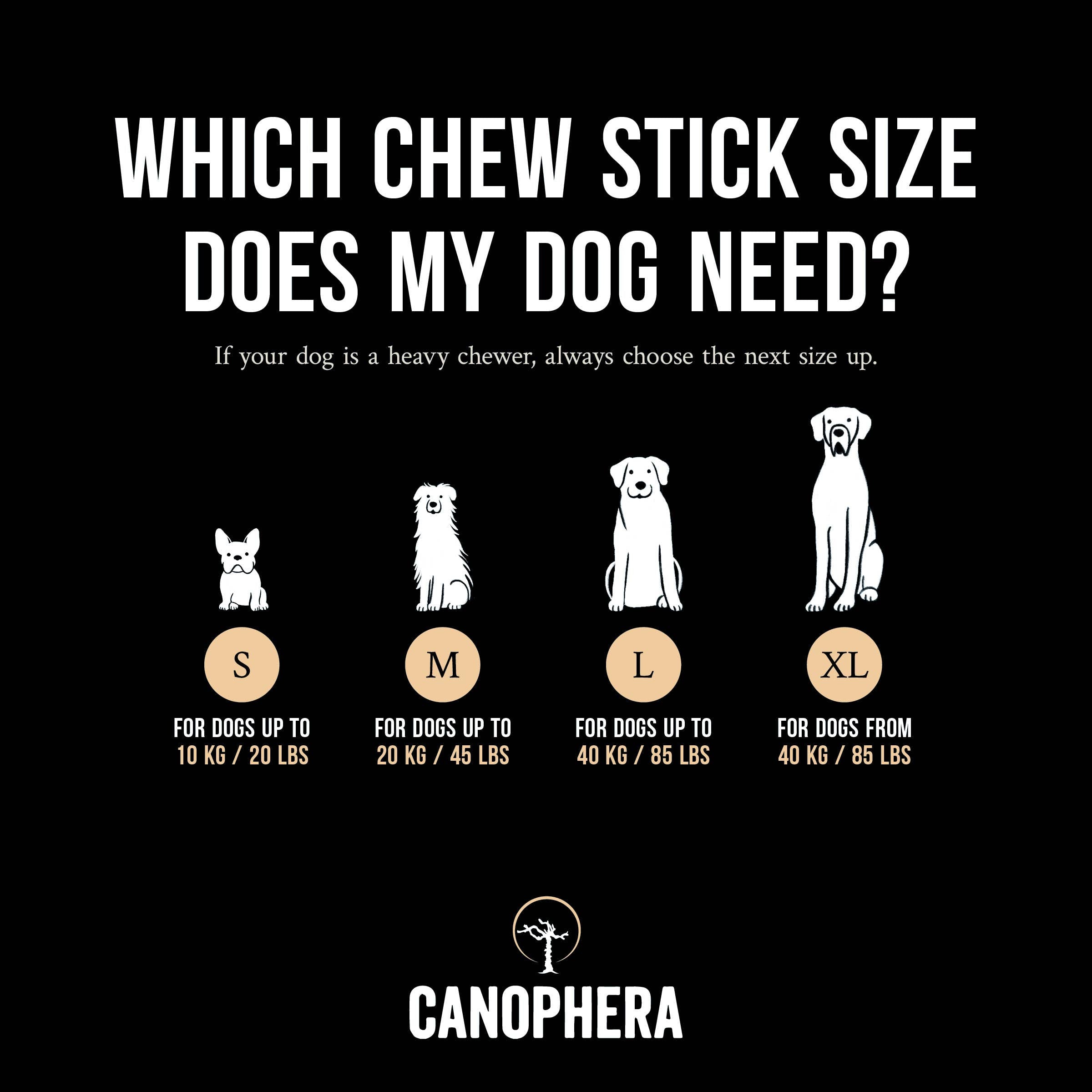 CANOPHERA LLC - Dog Chew Made of Coffee Wood and Coconut Rope.: L / English
