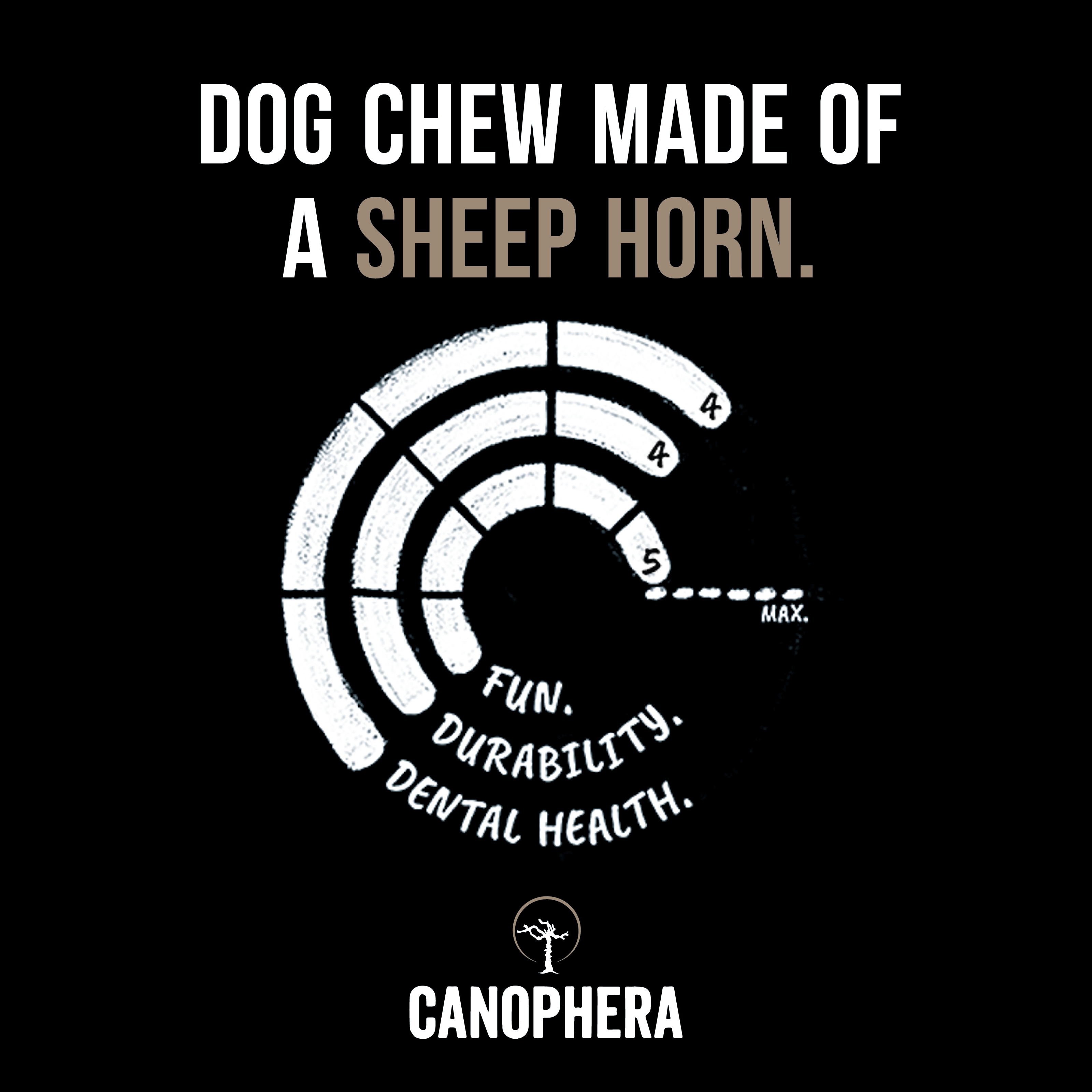 CANOPHERA LLC - Dog Chew Made of Sheep Horn