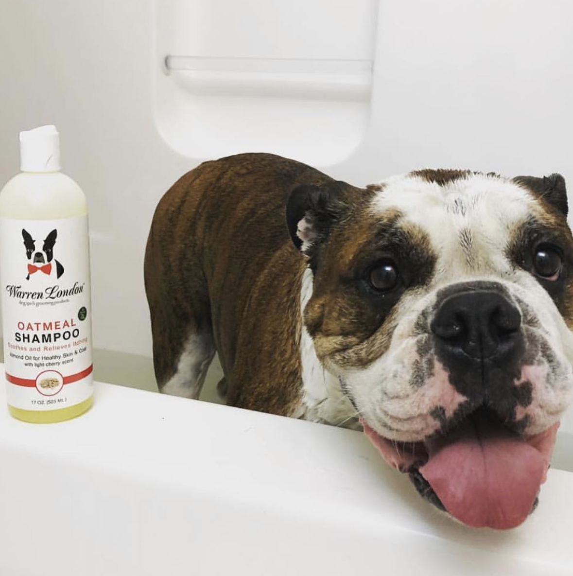 Warren London Dog Products - Shampoo: Oatmeal - 2 Sizes