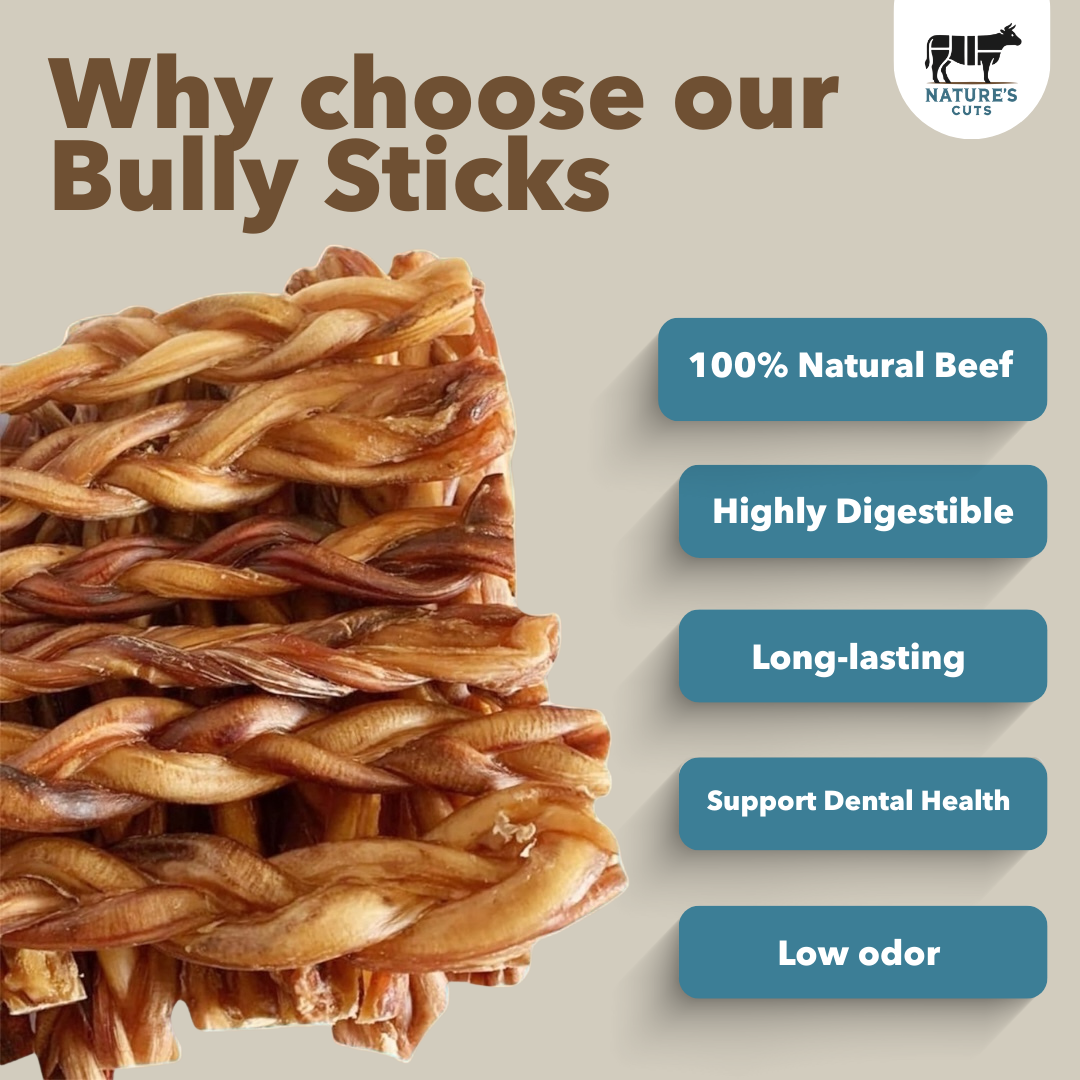 Mighty Chewz - 12" MONSTER Braided Bully Sticks.