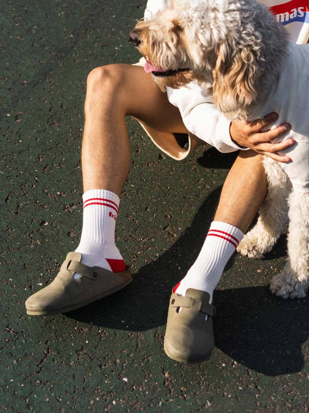 Good Thomas - Dog Friendly Sock