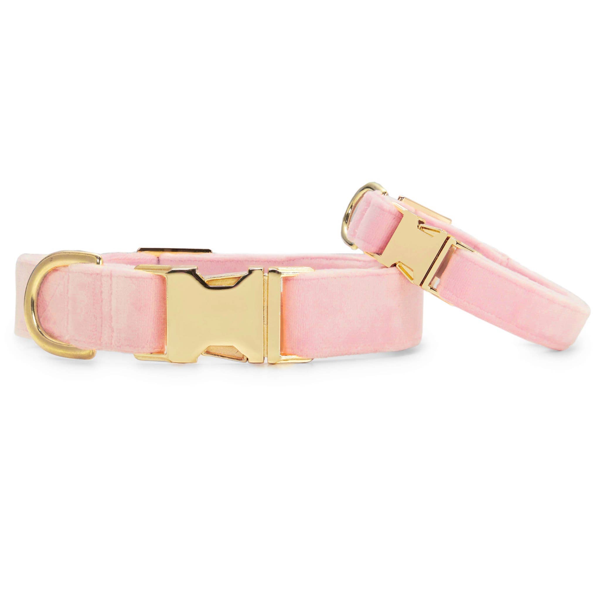 The Foggy Dog - Blush Pink Velvet Dog Collar