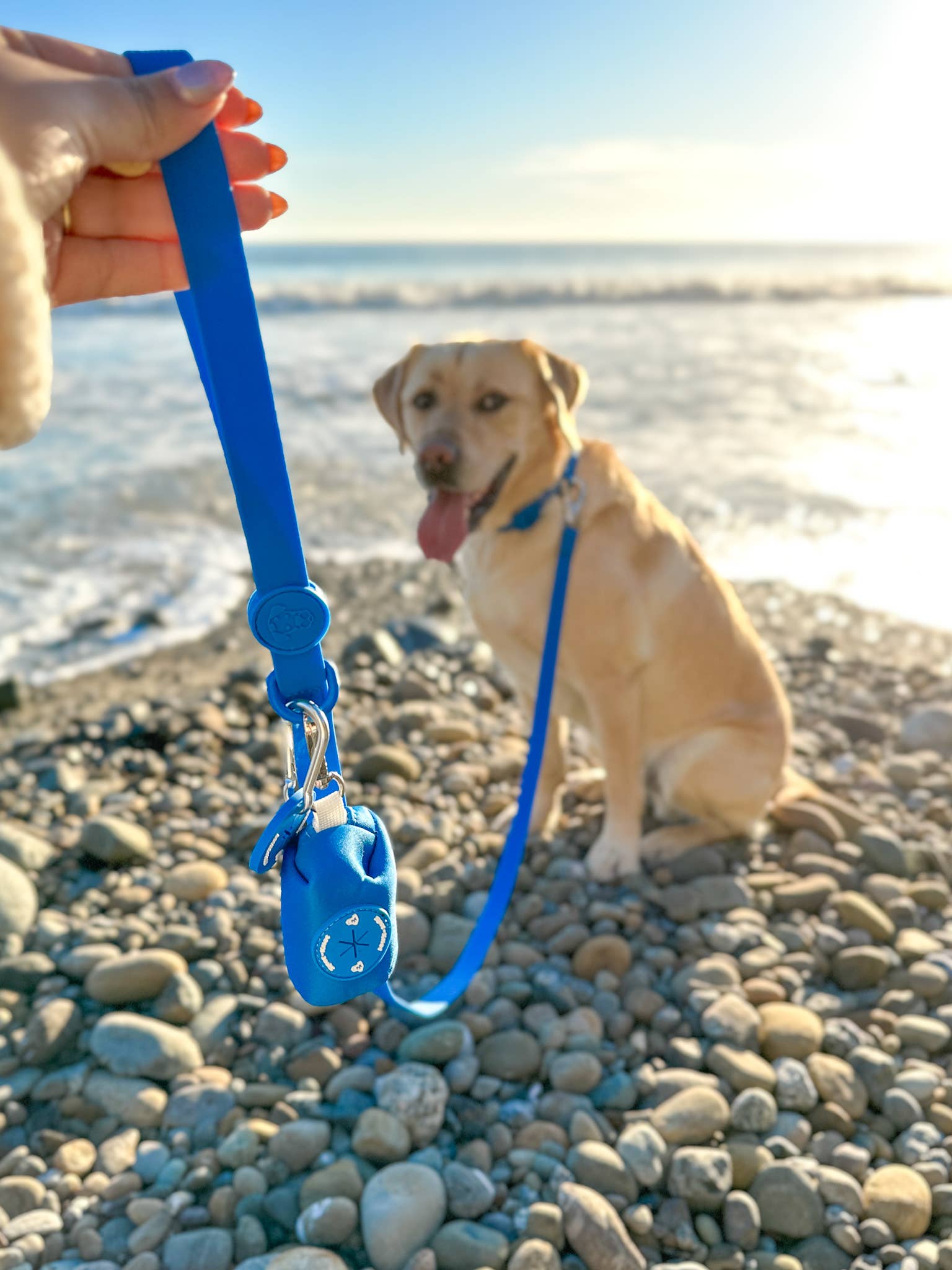 Spot N Knot - Dog Walk Bundle | Leash, Collar, Poop Loop, Waste Bag Holder