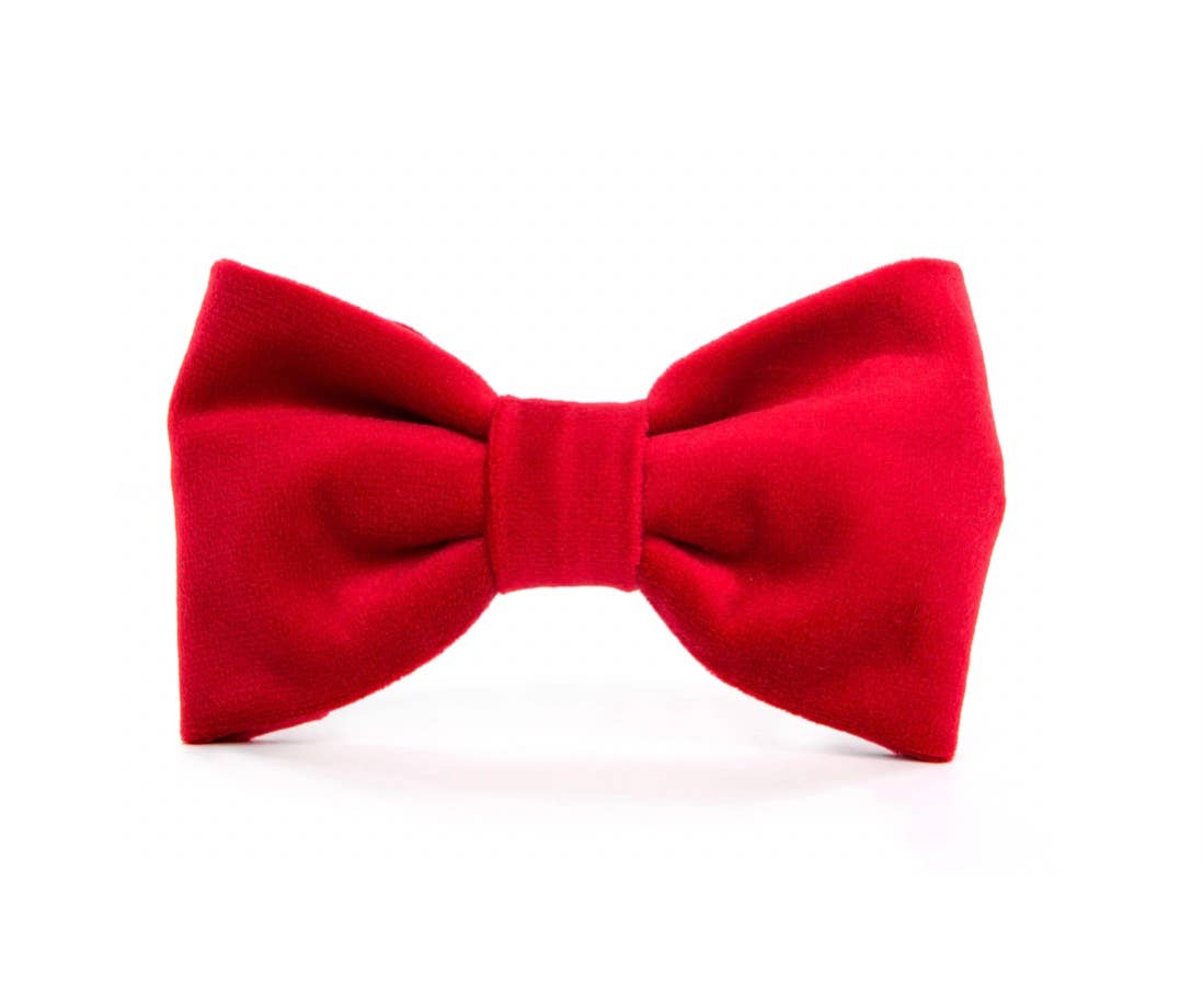 The Foggy Dog - Cranberry Velvet Valentine's Day Dog Bow Tie