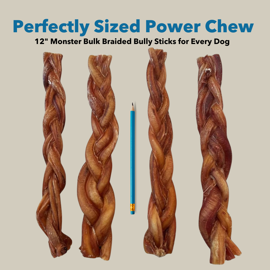 Mighty Chewz - 12" MONSTER Braided Bully Sticks.