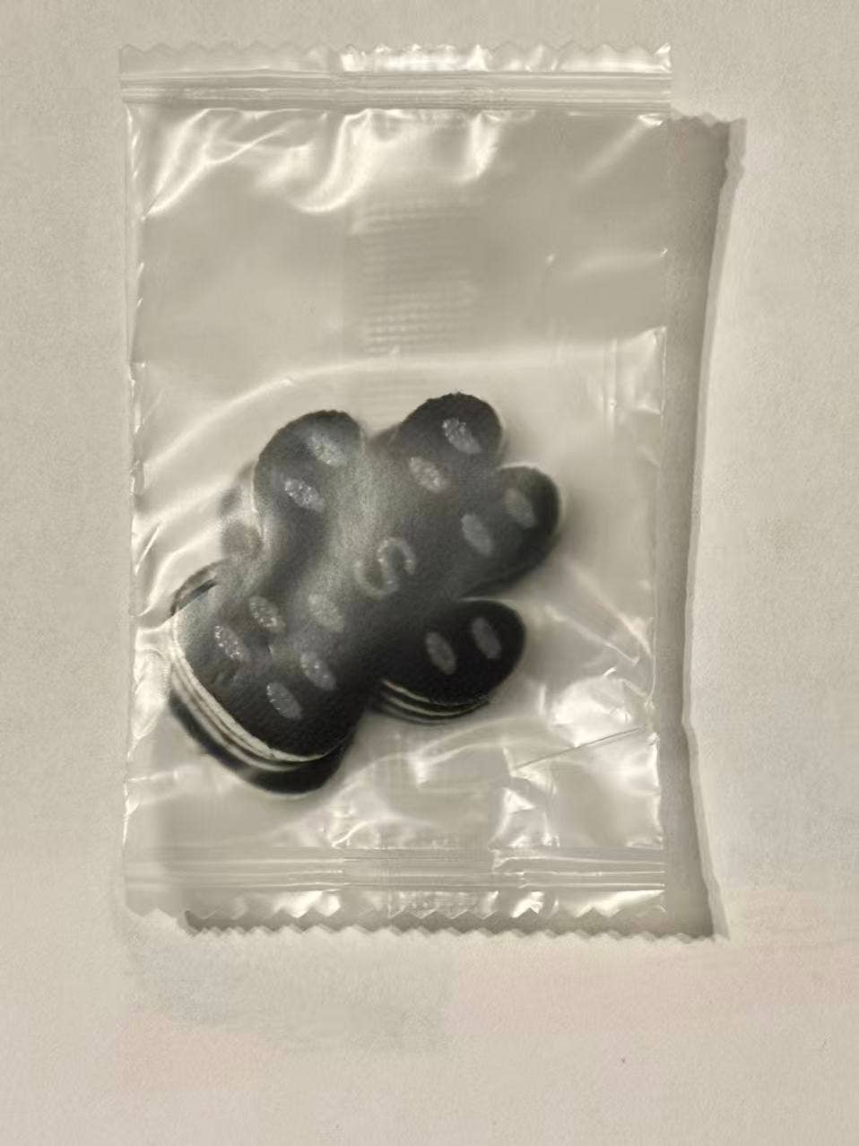 BRIGHT IRIS - Silicone Dog Paw Protector