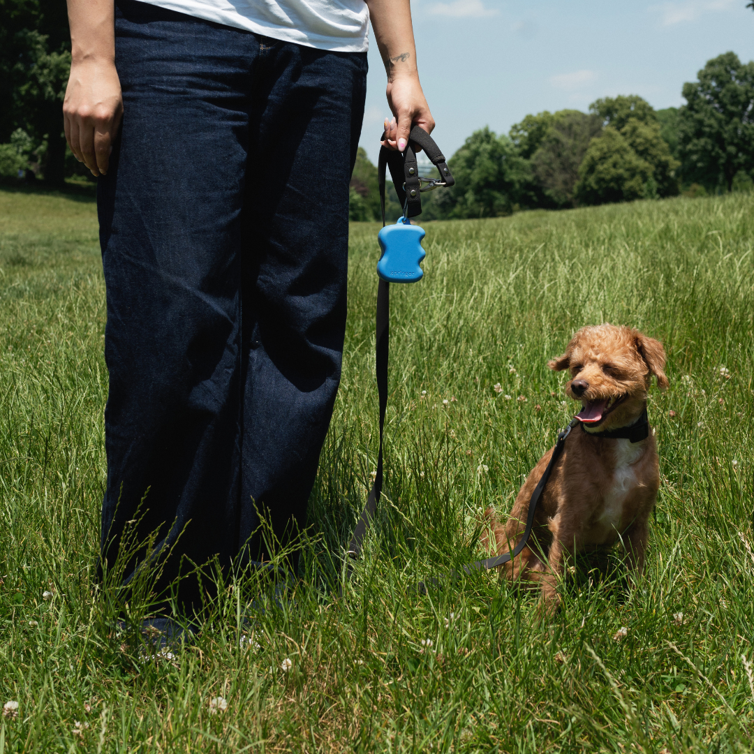 Springland Pets - Silicone Dog Treat Dispenser