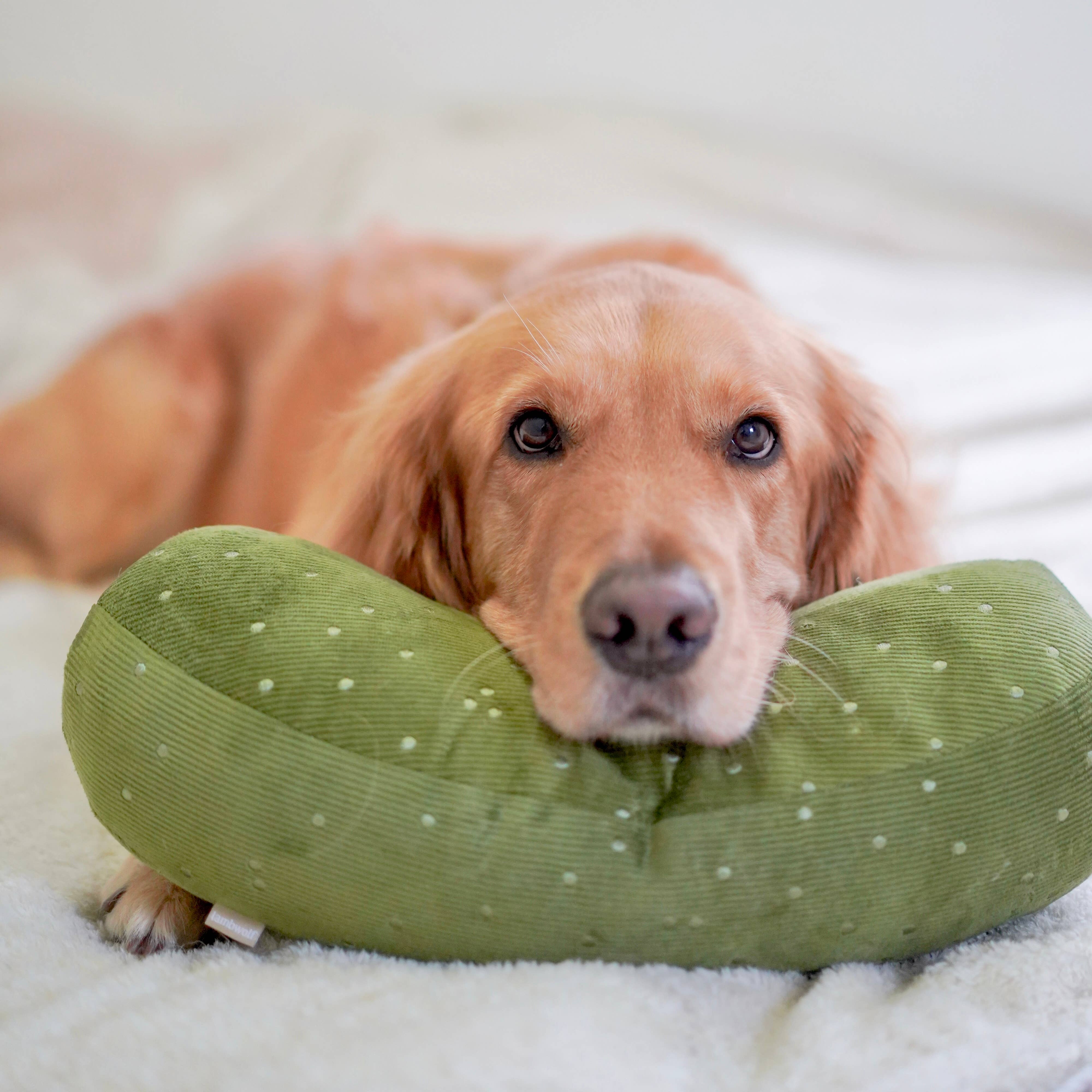 Lambwolf Collective - Giant Pickle Enrichment Dog Toy