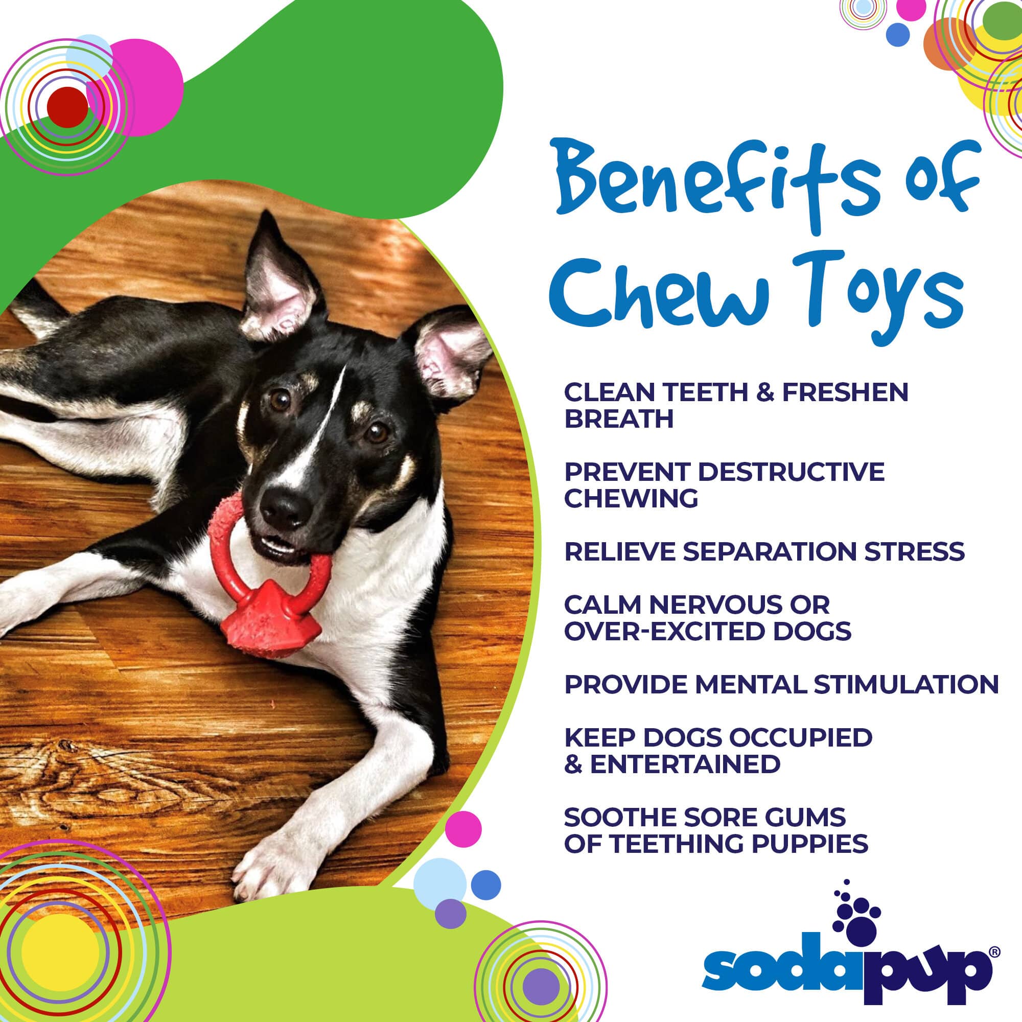 SodaPup Dog Toys - Diamond Ring Durable Nylon Teething Ring for Puppies