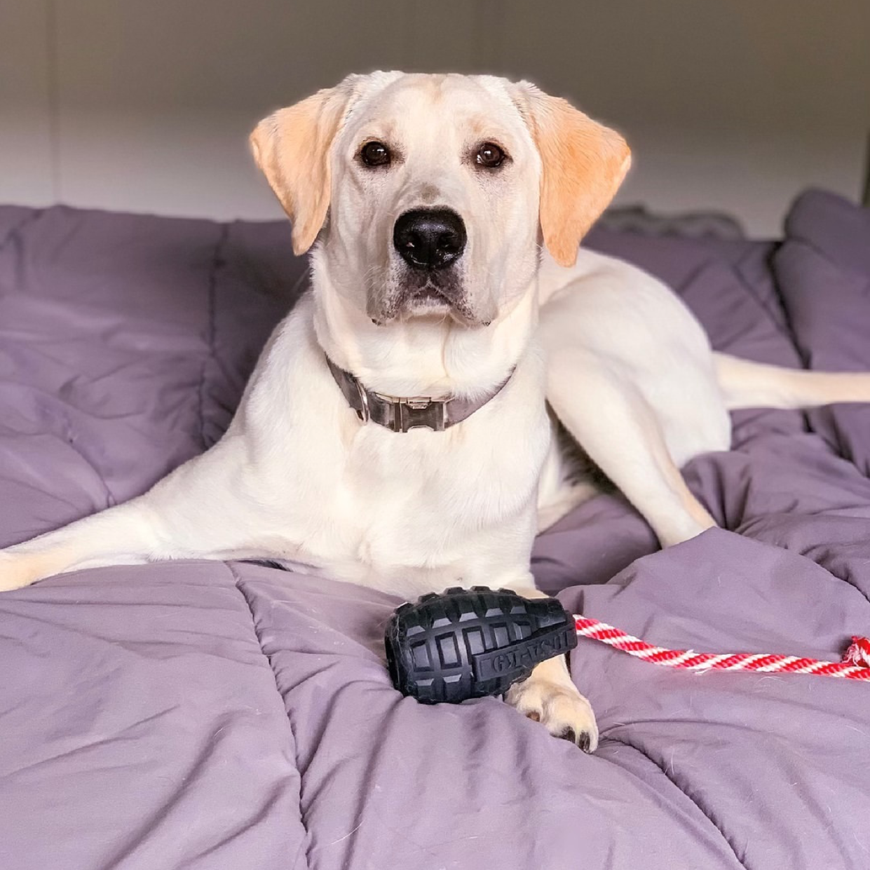 SodaPup - USA-K9 Magnum Grenade - Chew Toy - Reward Toy - Black