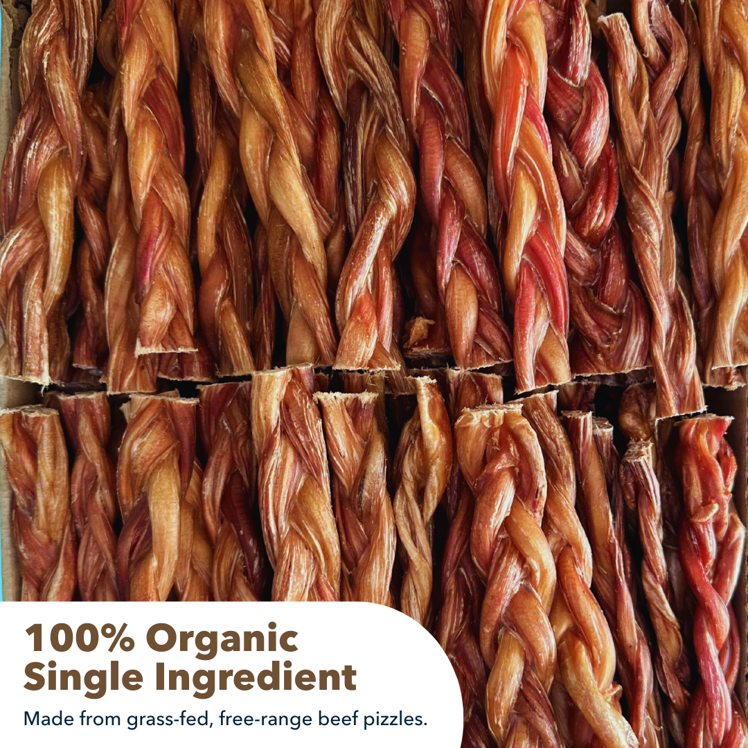 Mighty Chewz - 6" Thick Braided Bully Sticks