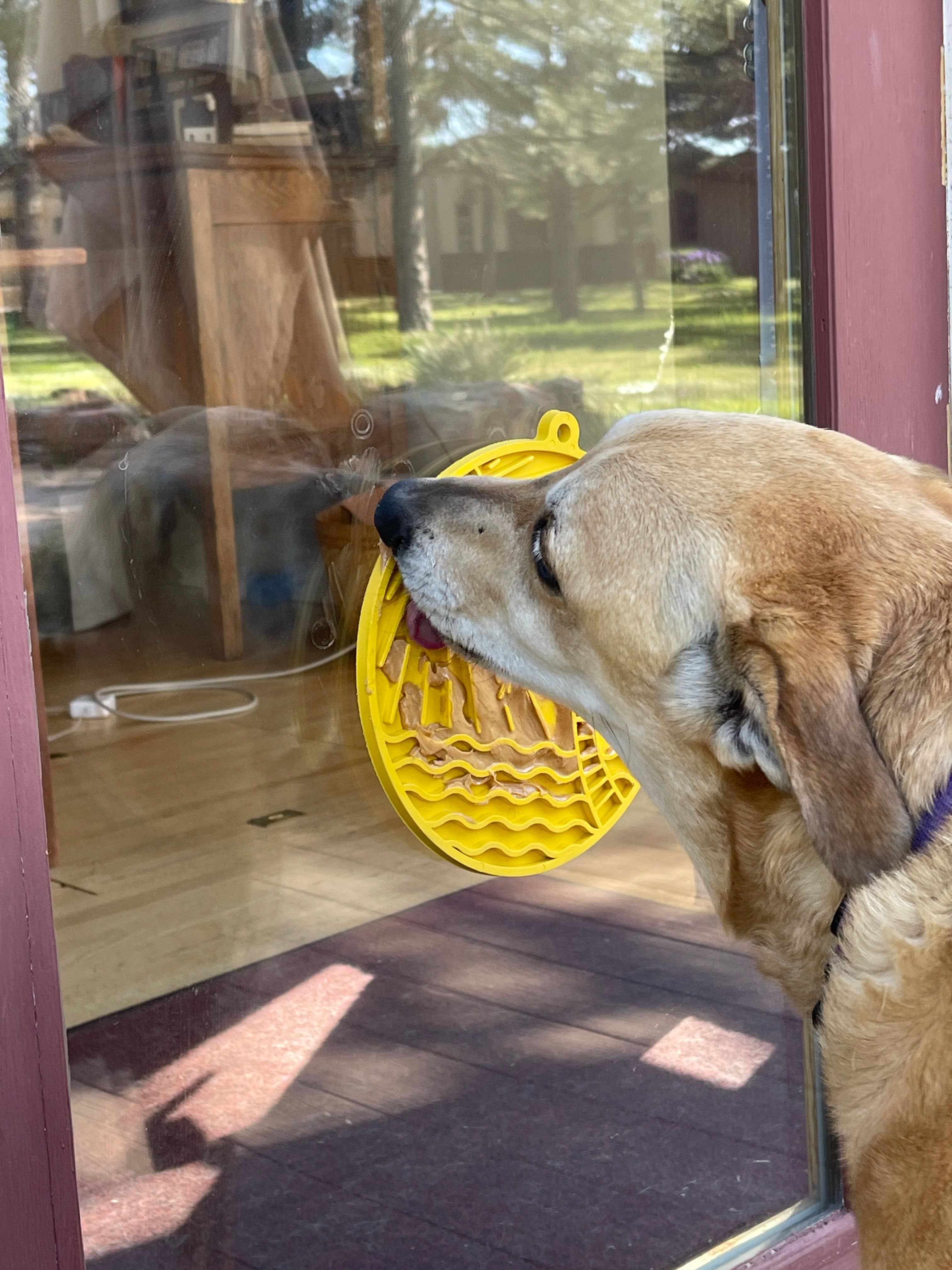 SodaPup - Sun n' Sea eMat Enrichment Lick Mat With Suction Cups