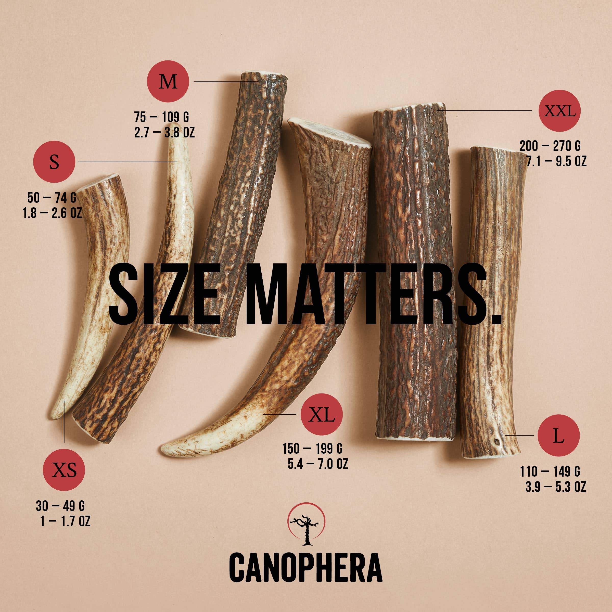 Canophera Red Deer Antler Dog Chews - XS