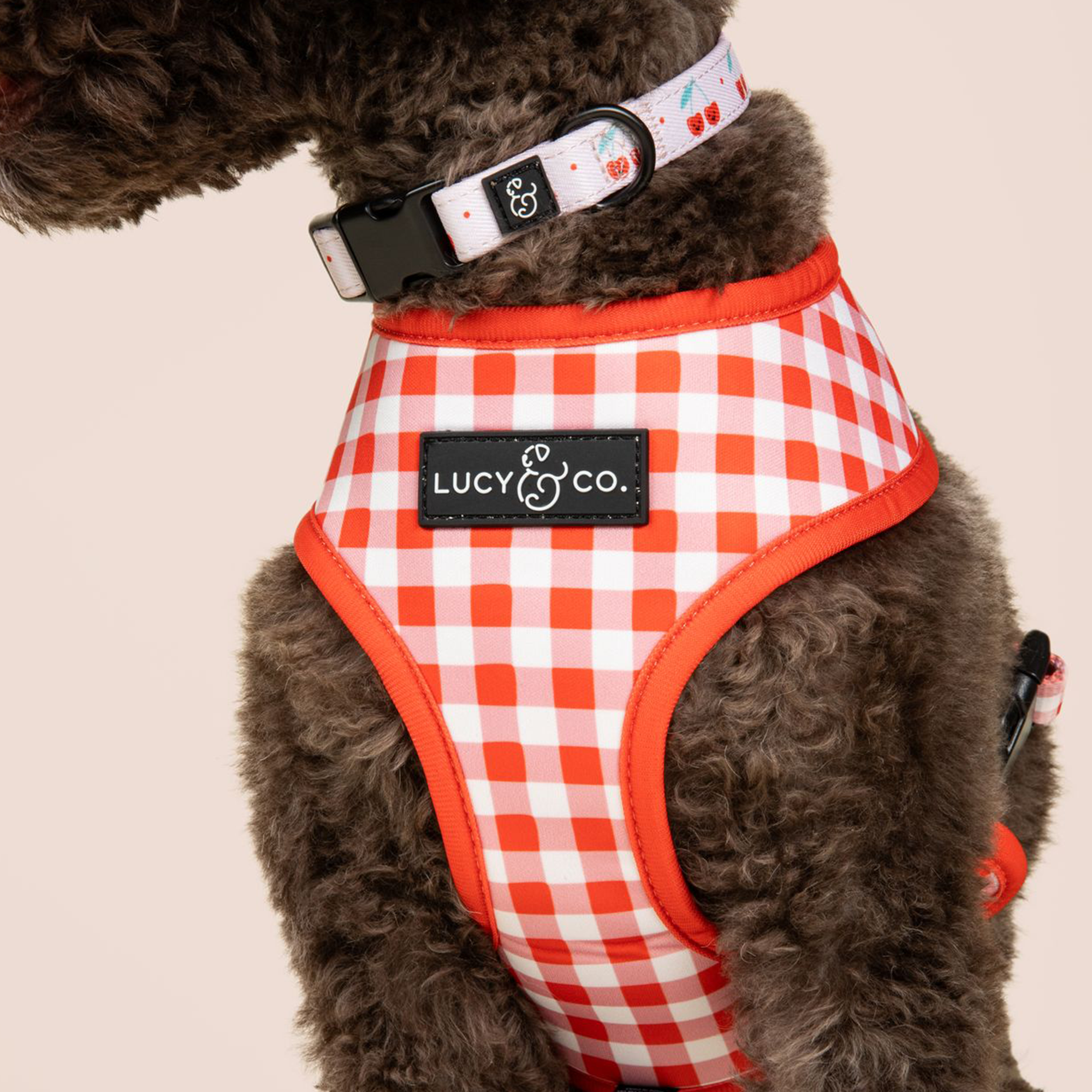 Lucy & Co. - The Cheery Cherries Reversible Harness