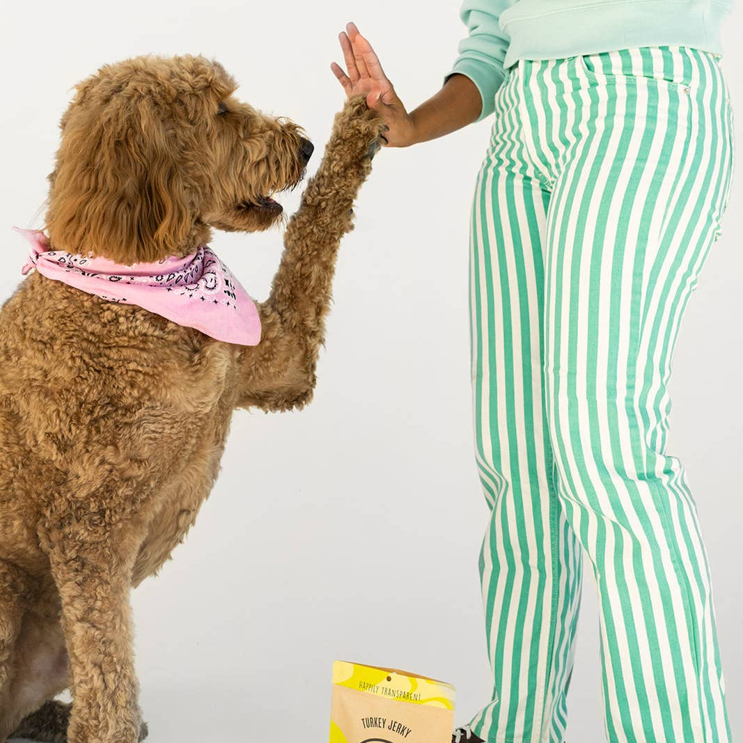 Person in green and white striped pants giving a dog a high-five with a bag of treats on a white background.