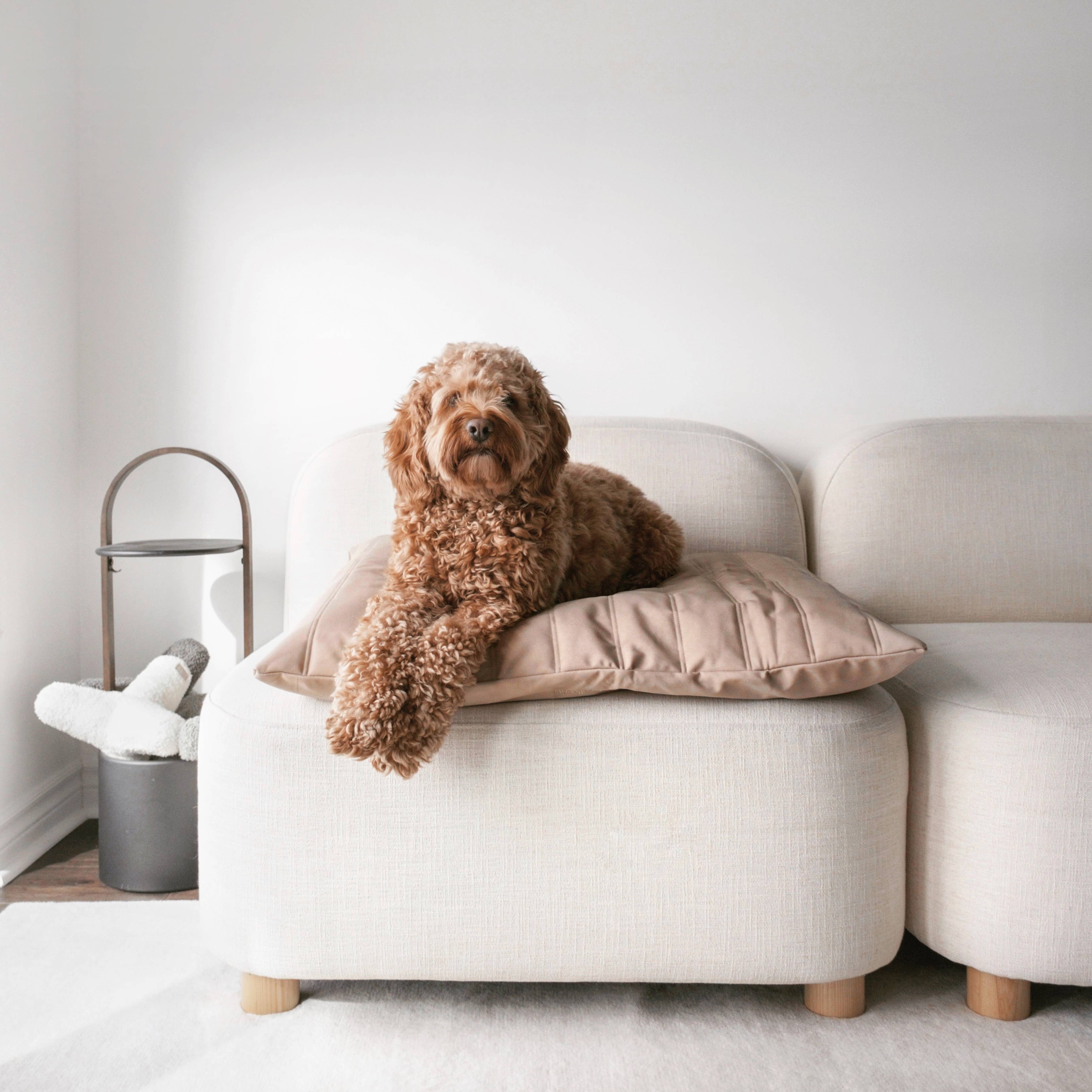 MAATIN | PET BED//DOG BED: Medium / Camel