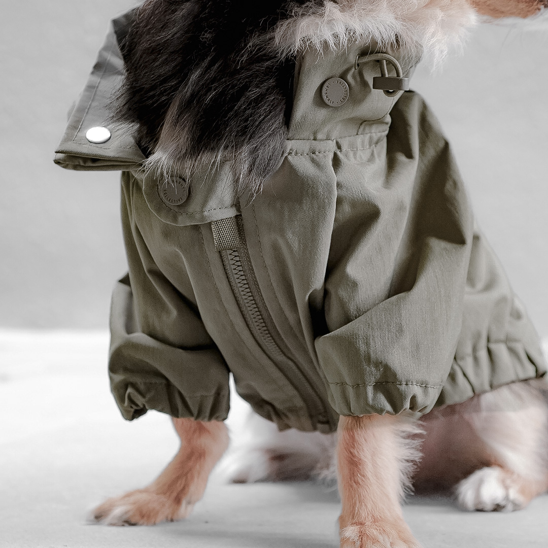 BROOKLYN//DOG CLOTHING//APPAREL: S / Fern