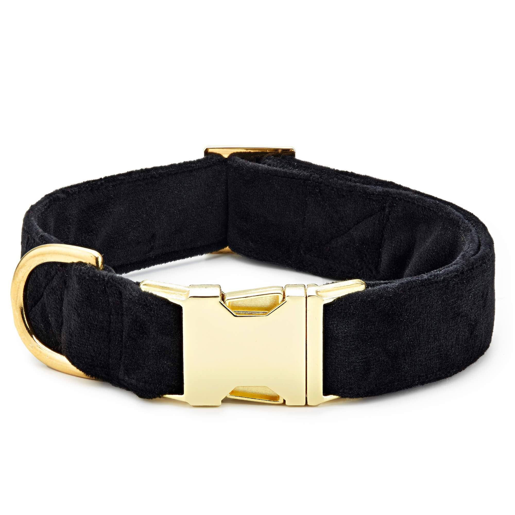The Foggy Dog - Black Velvet Dog Collar