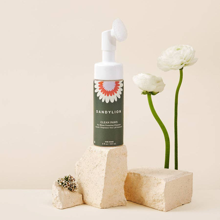 A bottle of clean paws cleanser placed atop and arrangement of rocks with two white flowers in the background.