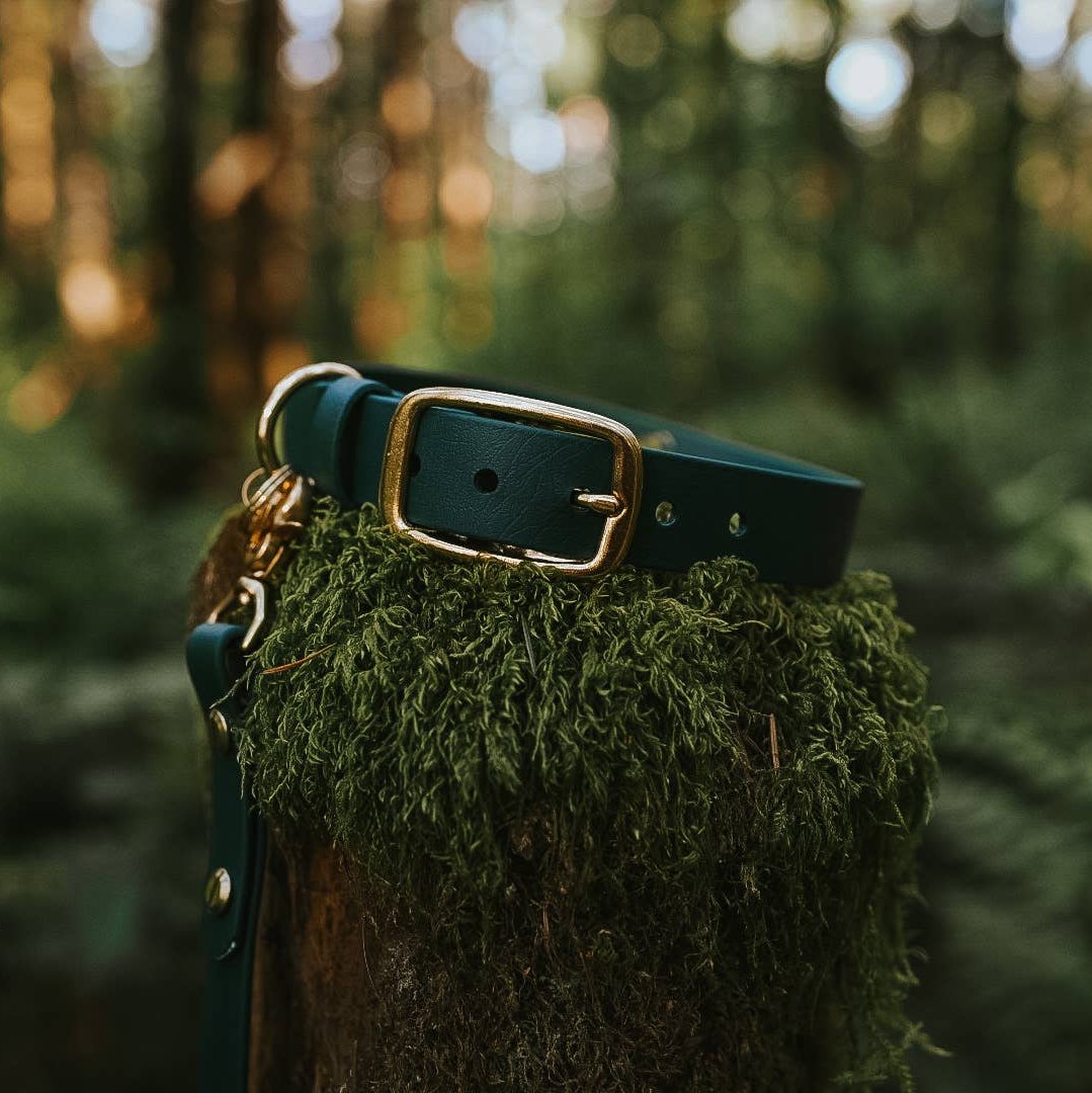 FoxMoth - Biothane Dog Collar with Solid Brass Hardware