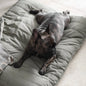 MAATIN | PET BED//DOG BED: Small / Fern