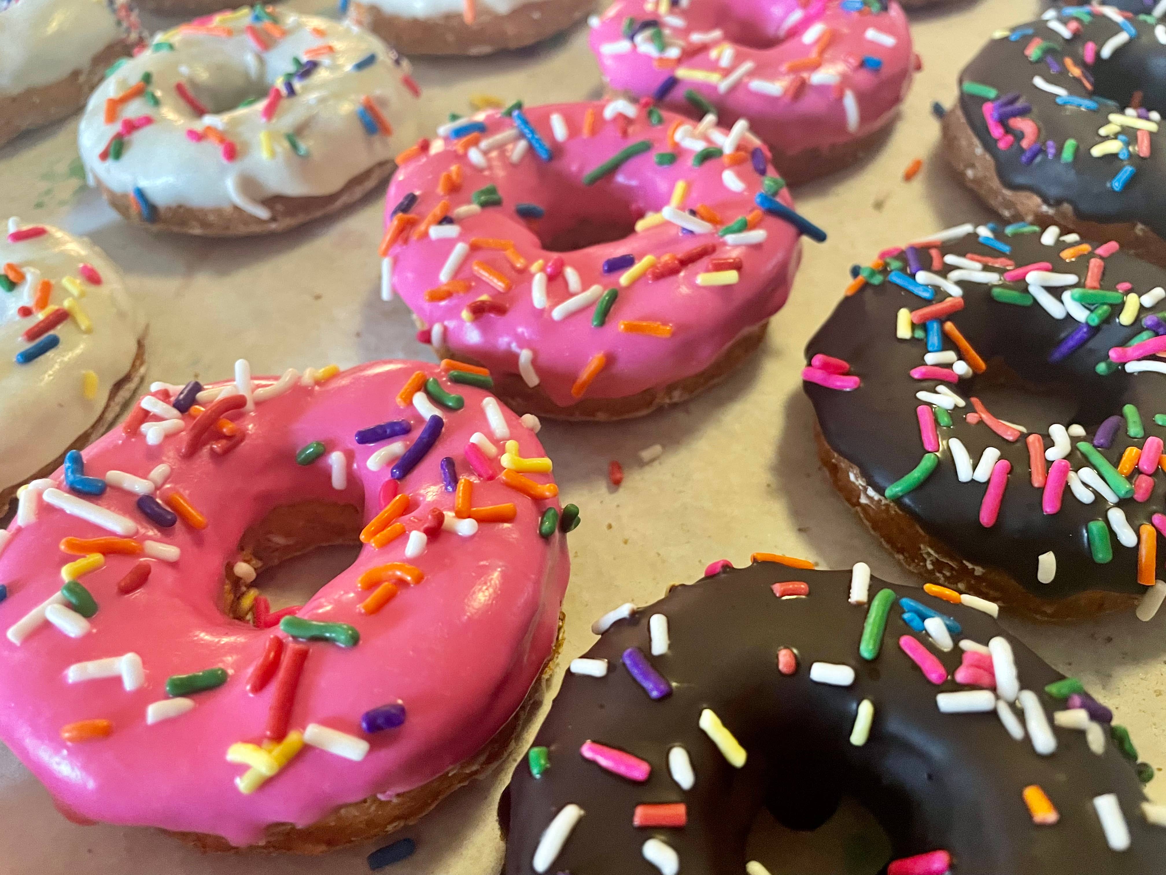 YumYum4DOGS - The HOMER Classic🍩 Donut Dog treats / cute dog treats (Copy