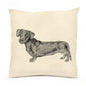 Dachshund Large Pillow