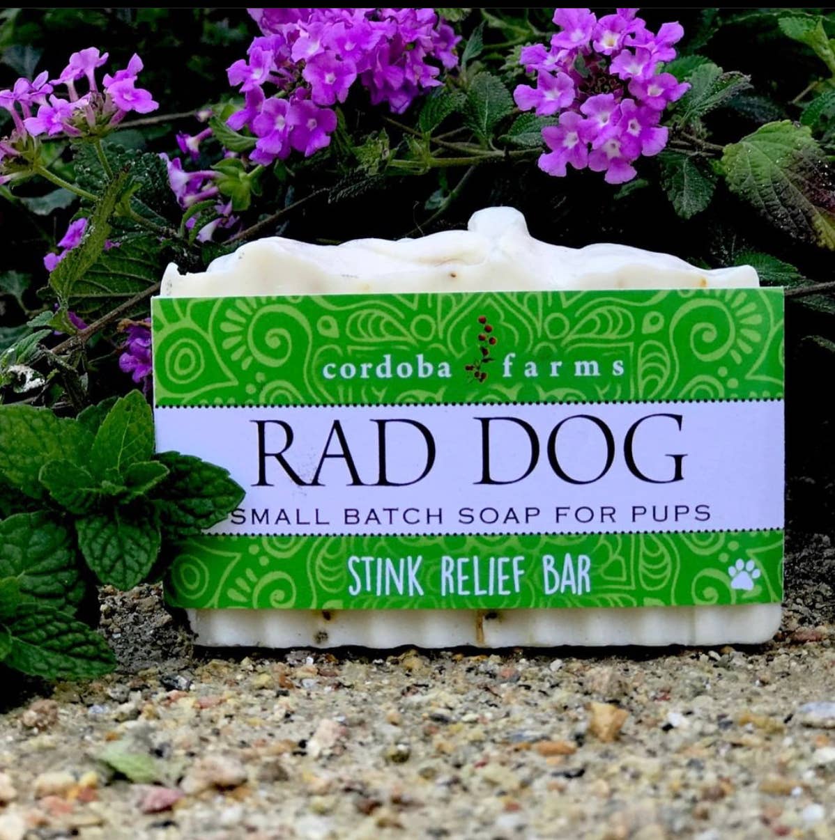 Rad Dog - Stink Relief Bar