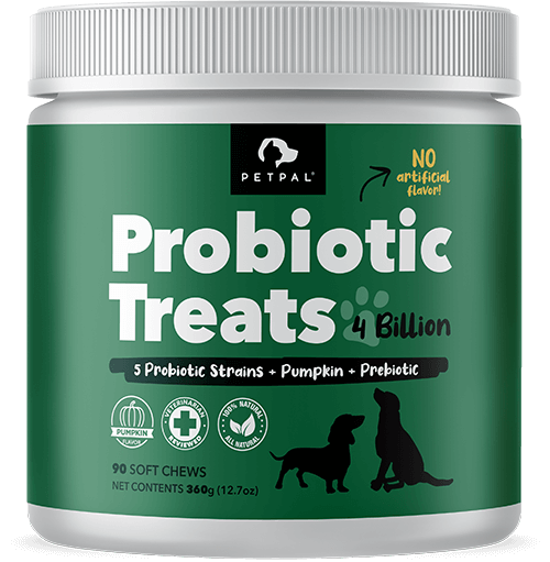 Petpal - Probiotic 4 Billion Soft Chew Treats for Dogs-Pet Supplement